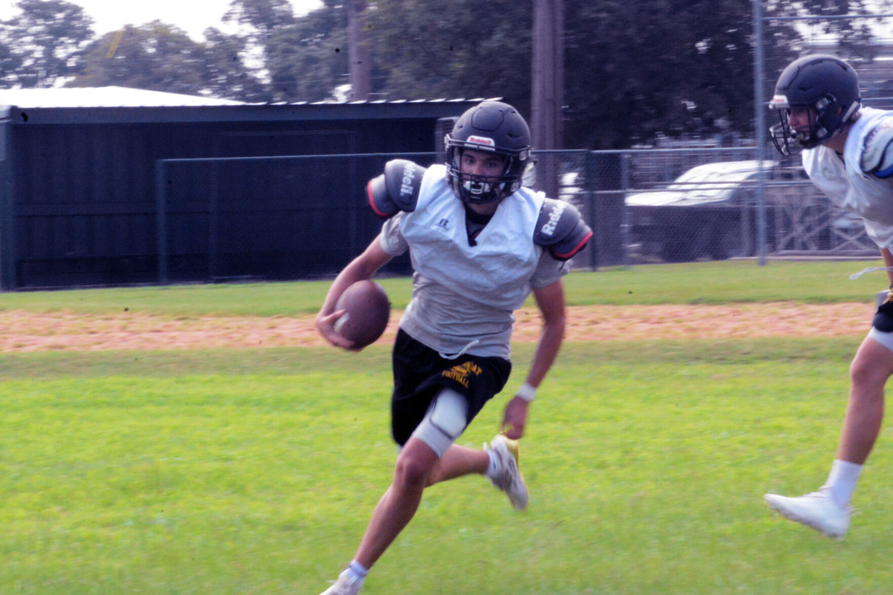 Cayuga Wildcats